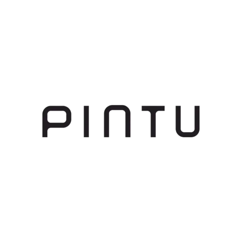 pintu